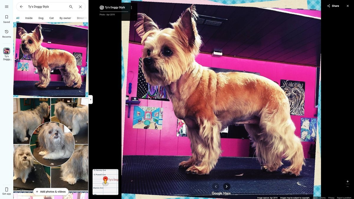 Ty’s Doggy Stylz