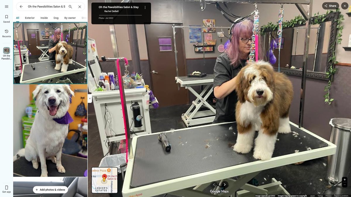 Oh the Pawsibilities Salon & Stay