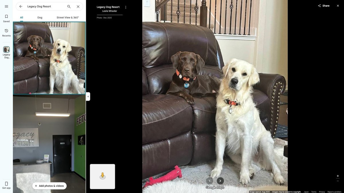 Legacy Dog Resort