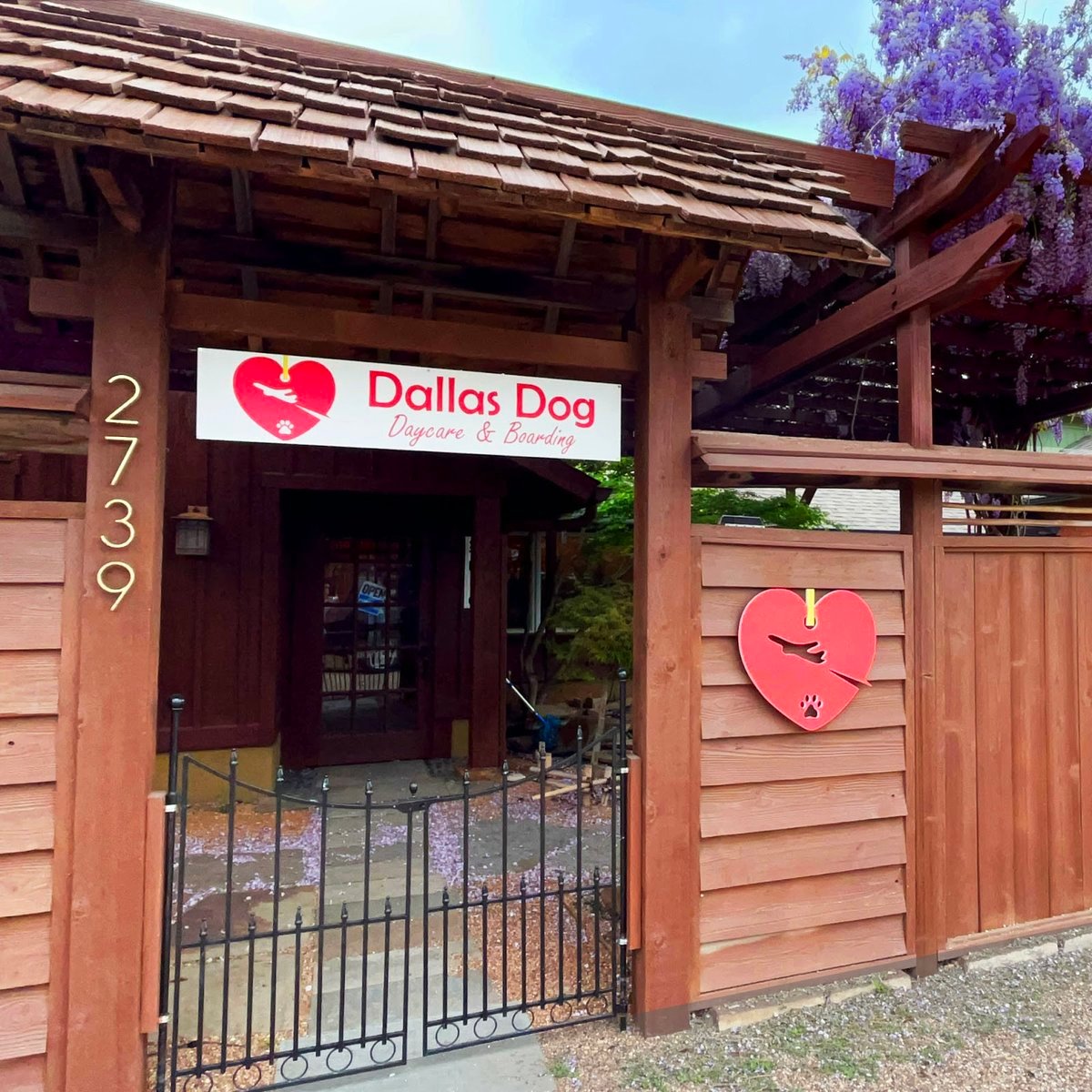 Dallas Dog Daycare and Boarding