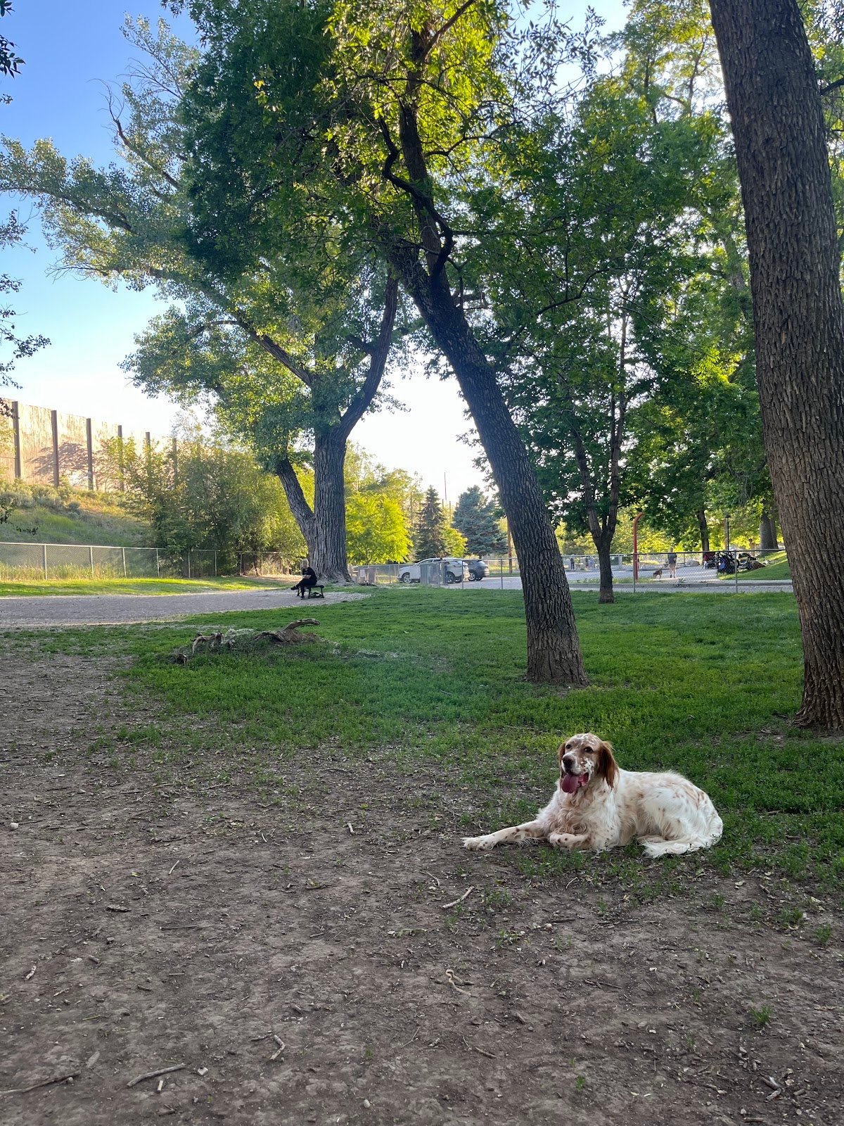 Fairmont Dog Park