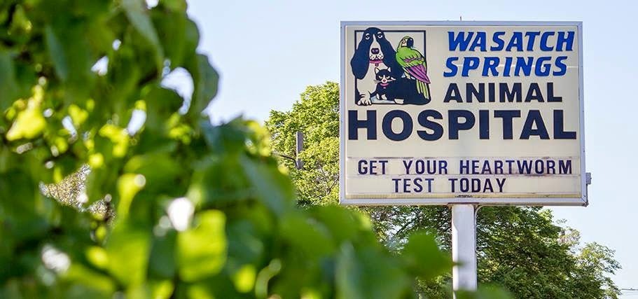Wasatch Springs Animal Hospital
