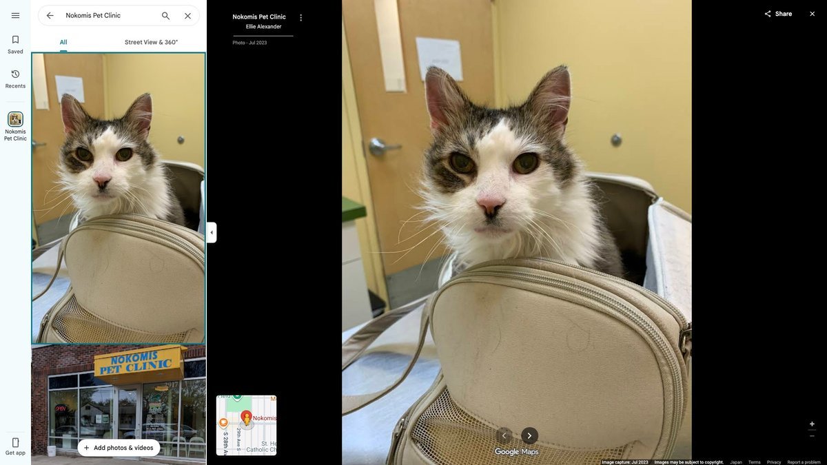 Nokomis Pet Clinic