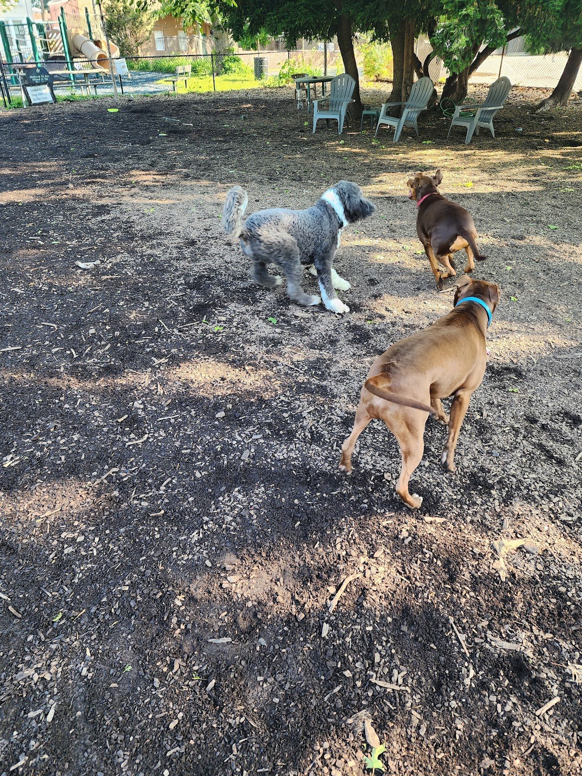 Morton Avenue Dog Park